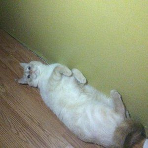 Meet your Posher, Seth